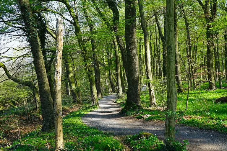 start_muensterland4-2x3